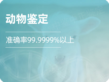 动物DNA鉴定-猫狗牛羊血统确认